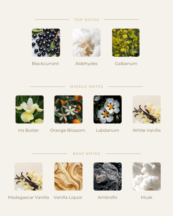 Noty vône Future Memories: Blackcurrant, Aldehydes, Galbanum, Iris Butter, Orange Blossom, Labdanum, White Vanilla, Madagascar Vanilla, Vanilla Liquor, Ambrofix, Musk